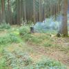 Brand