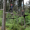 Kletterwald